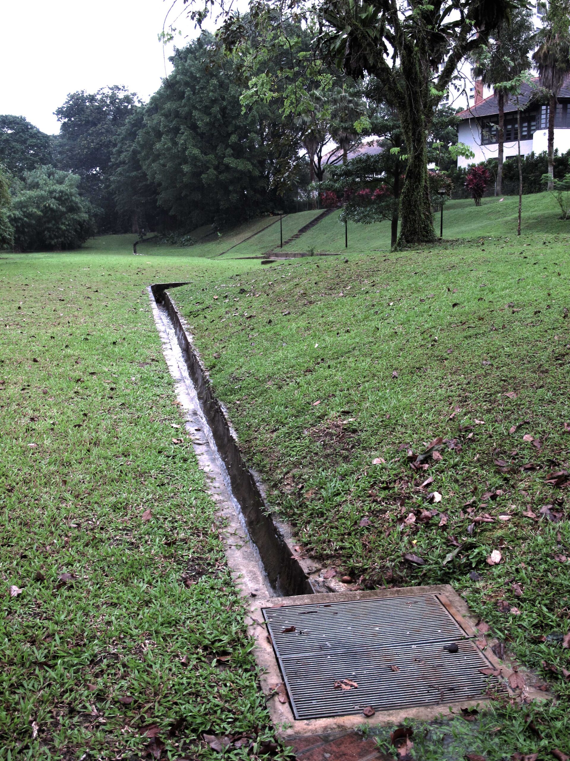 research: singapore sewage